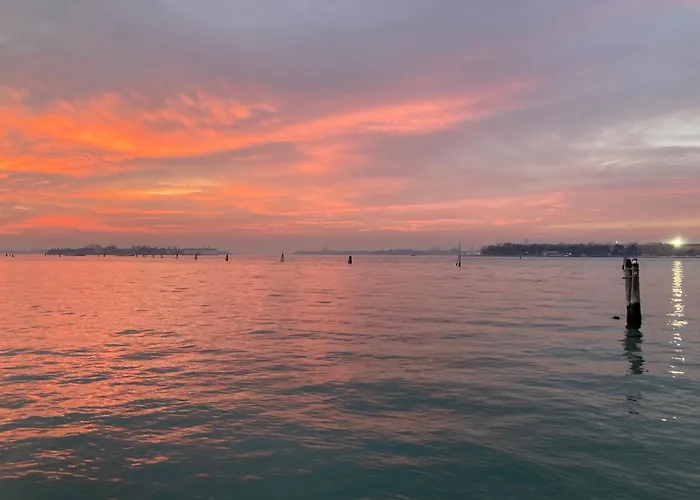 Oasis Golden Lagoon Alpehytte